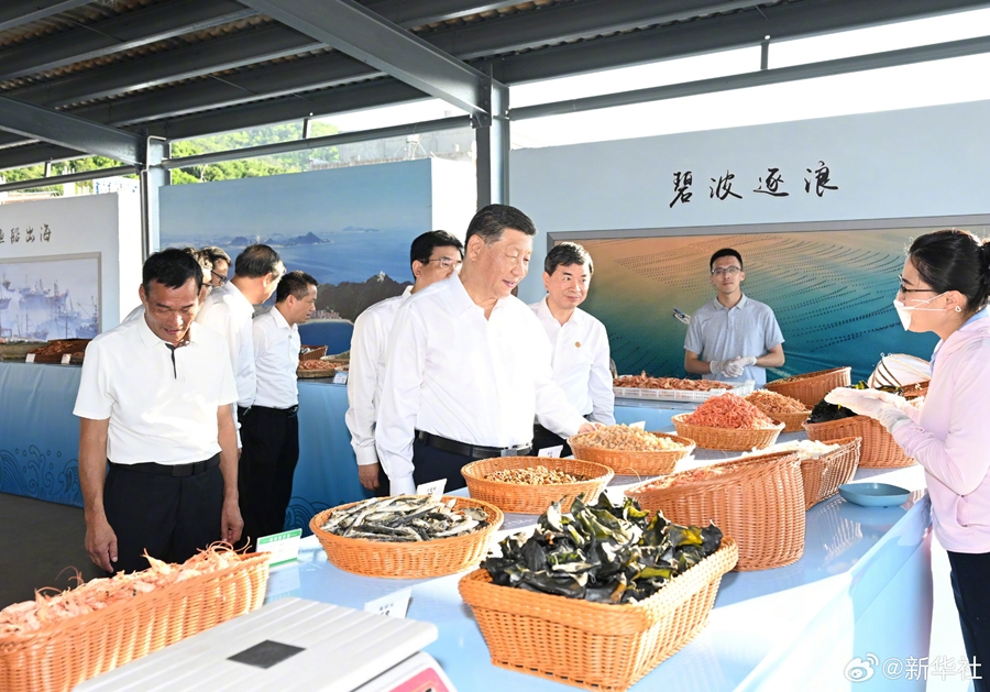 学习进行时丨感悟总书记“‘海’的文章”的深意(图2)