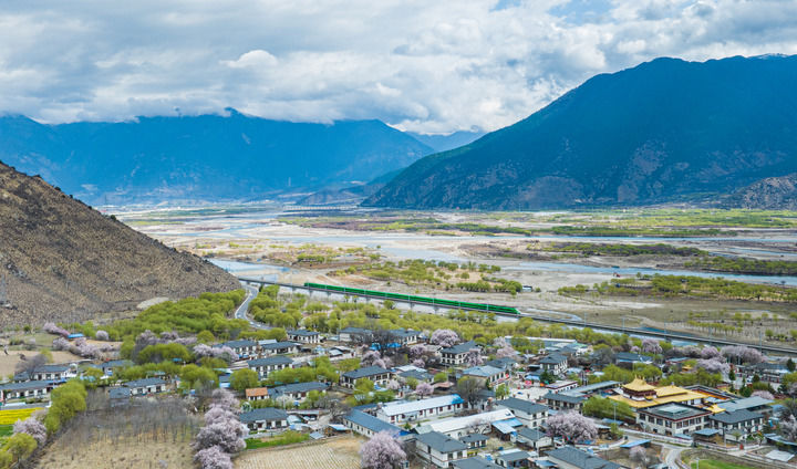 格桑花开映山河 团结奋进新征程(图3)