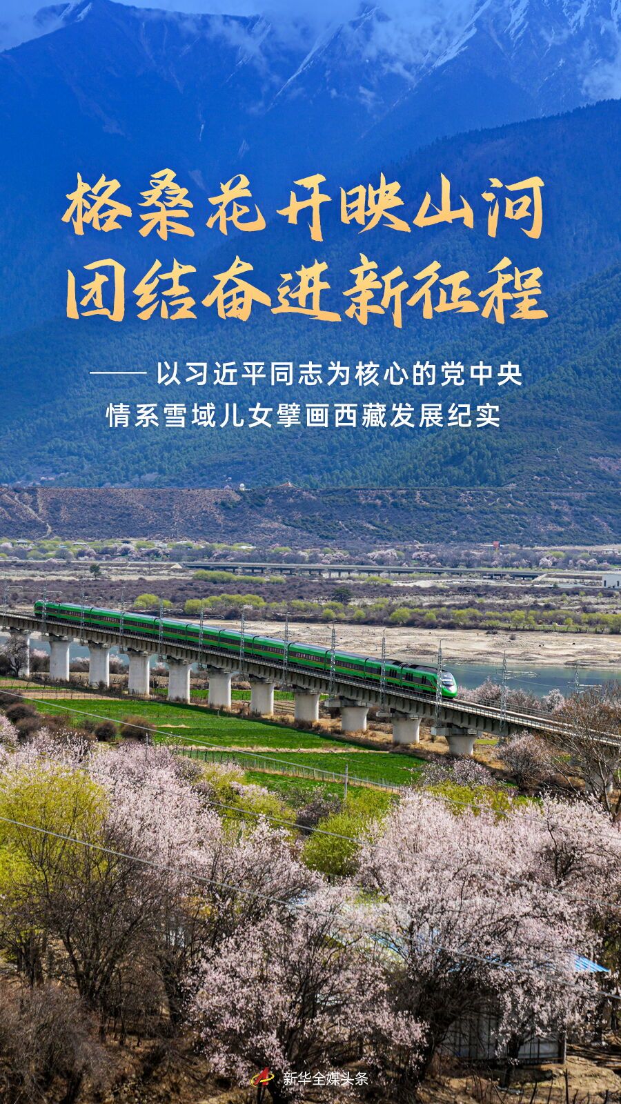 格桑花开映山河 团结奋进新征程(图1)