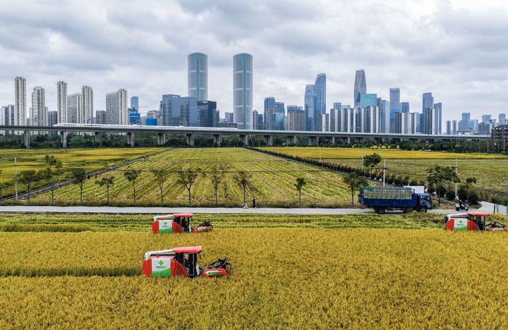 幸福都是奋斗出来的(图5) 幸福都是奋斗出来的(图5)